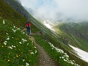 43 sentiero tra i fiori...